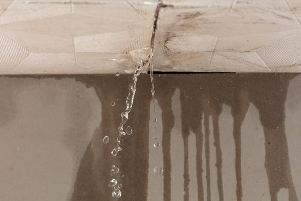 Professional Water Damage Inspection technician working in Prairie Village, KS